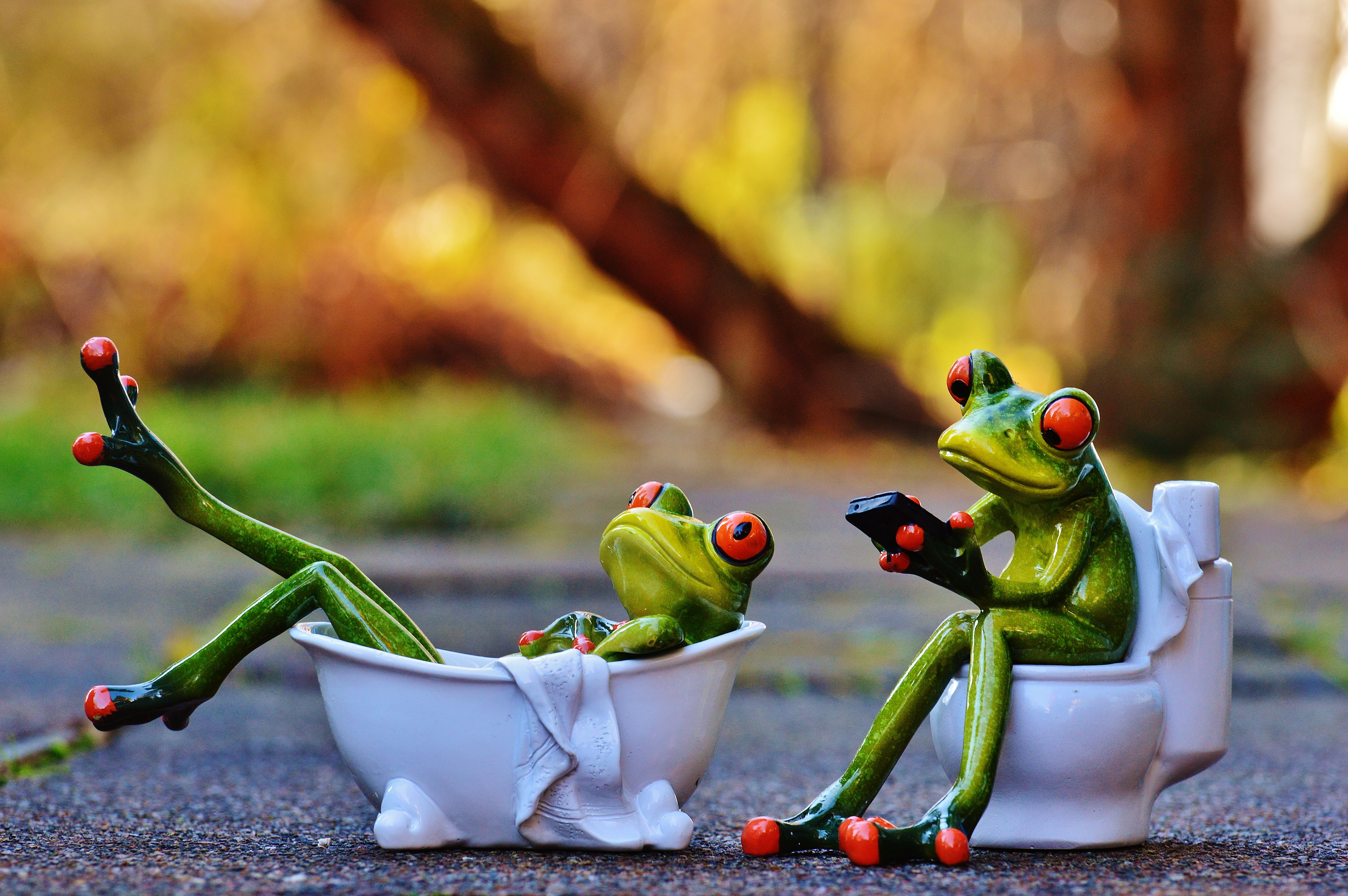 Wallpaper Green Frog Sitting On Toilet And Lying On Bathtub, Funny, Funny