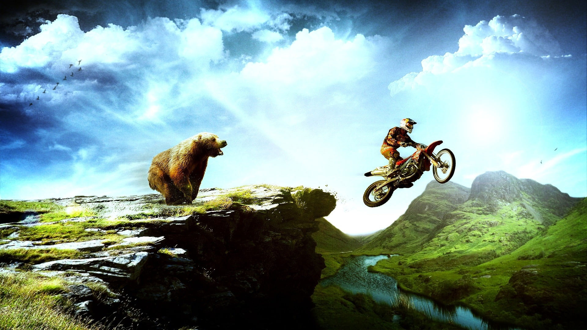 Wallpaper Moto X Bear Chasing, Grizzly Bear; Red And Black