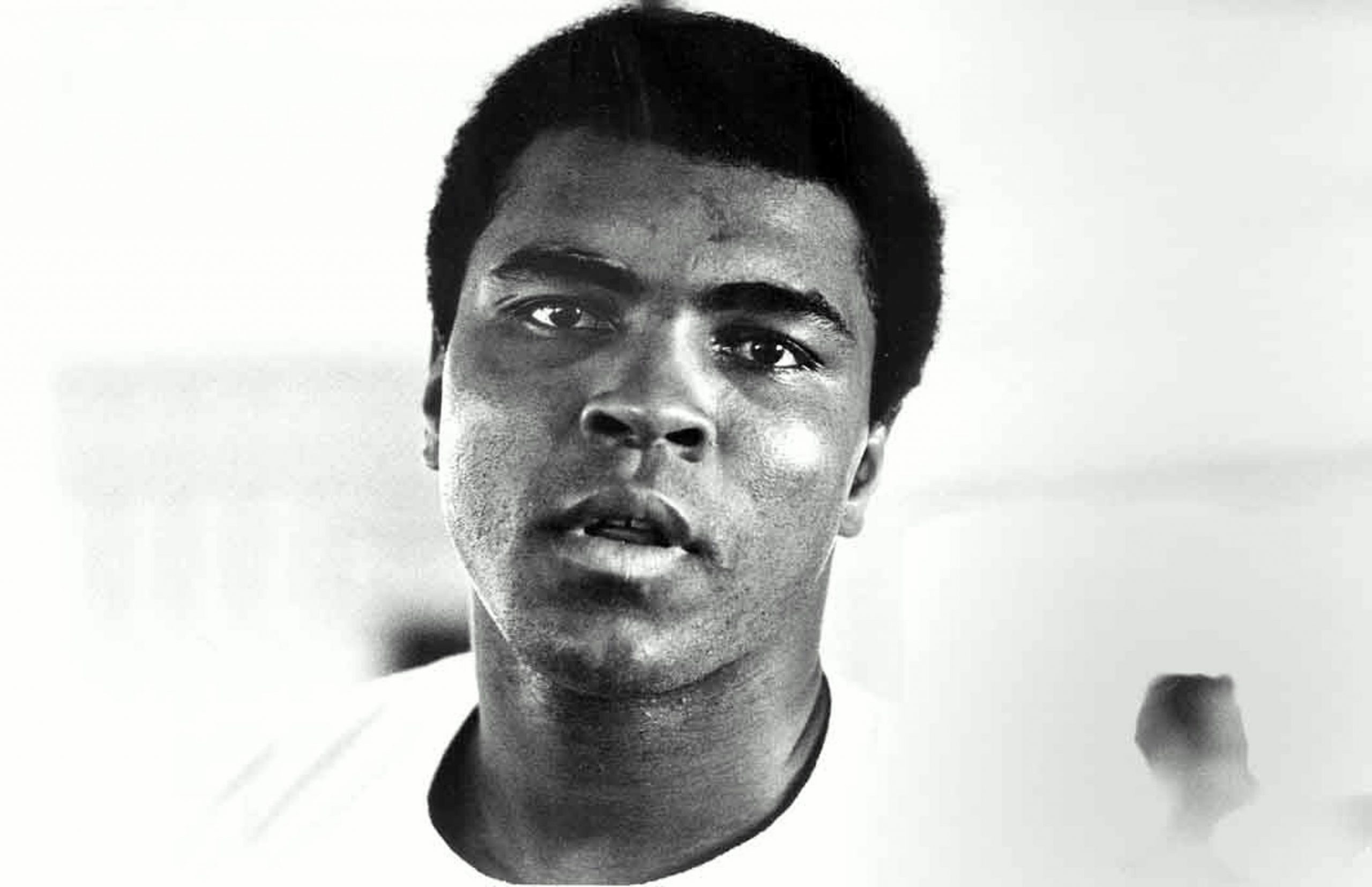 Wallpaper Muhammad Ali, Boxer, Face, Bw, Headshot, Portrai