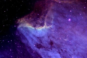 Wallpaper Pelican Nebula 4k, Purple And Black Galaxy