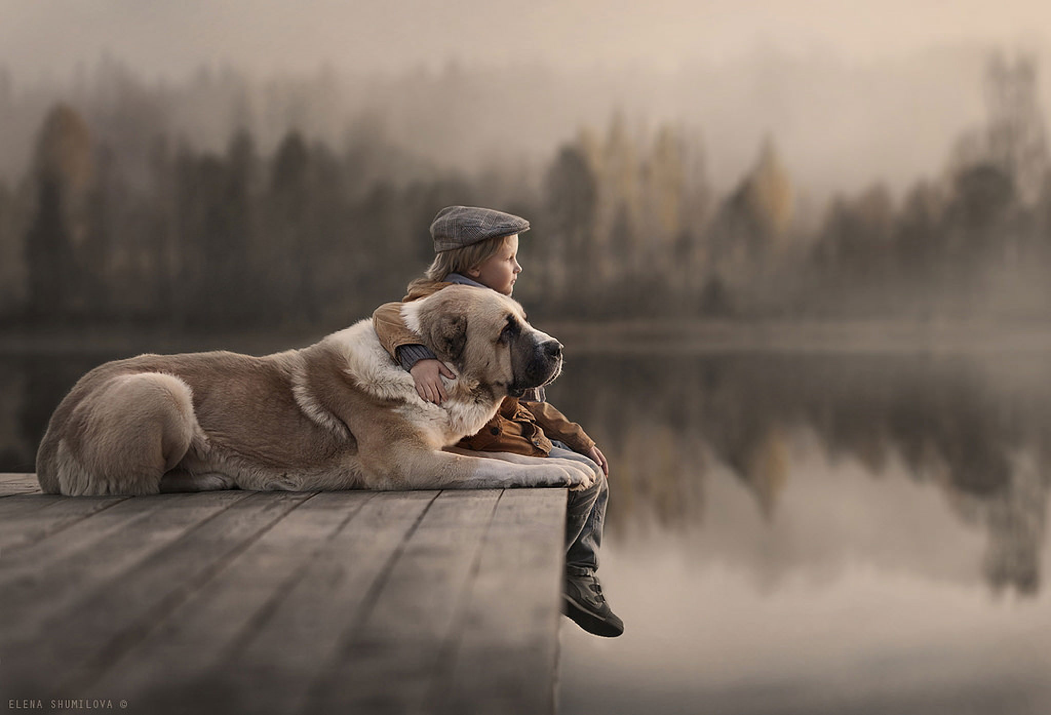 Wallpaper Photography, Dog, Children, Lake