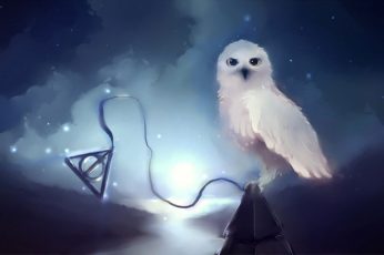 Wallpaper White Owl, Harry Potter, Hedwig, Stars