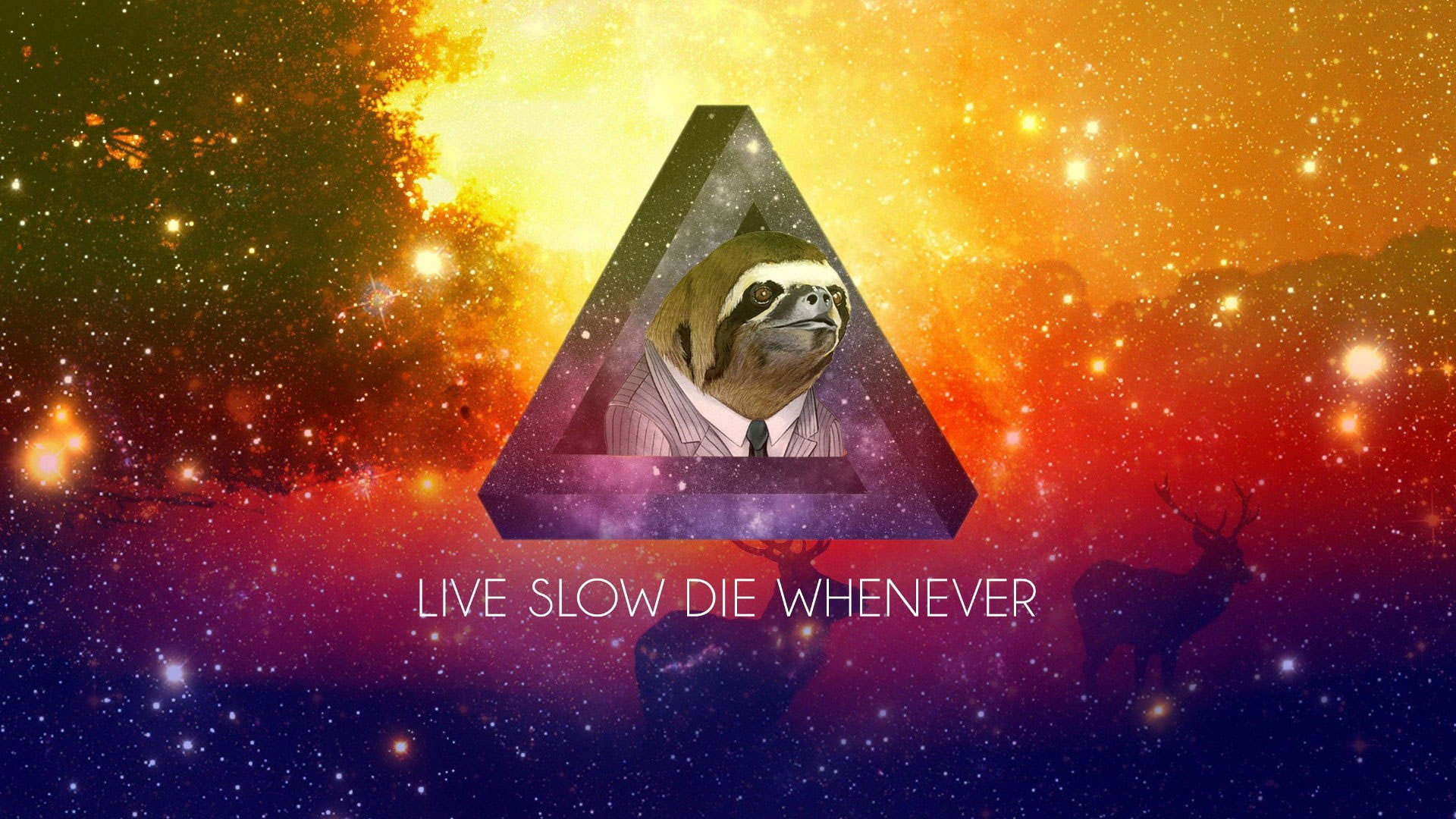 Wallpaper Live Slow Die Whenever, Sloths, Motivation