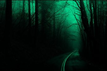 Wallpaper Silhouette Of Forest, Trees, Road, Dark, Nature