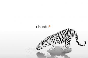 Wallpaper White Tiger Illustration, Linux, Gnu, Ubuntu