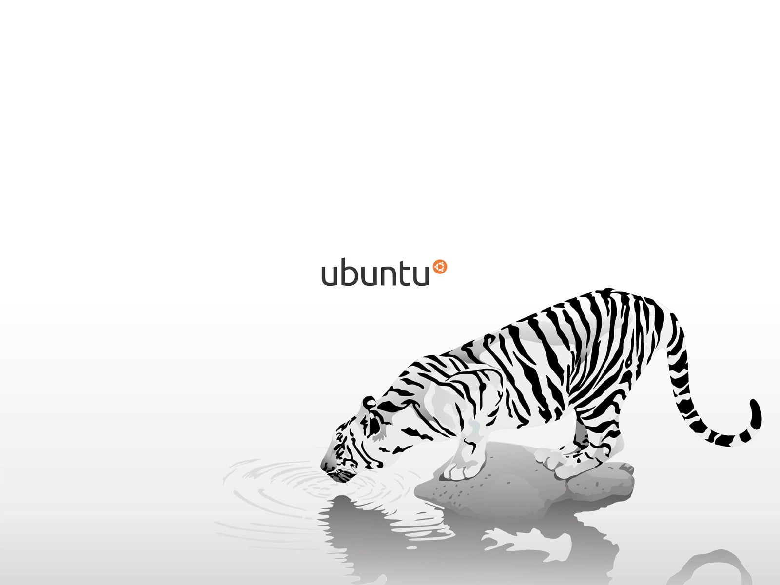 Wallpaper White Tiger Illustration, Linux, Gnu, Ubuntu