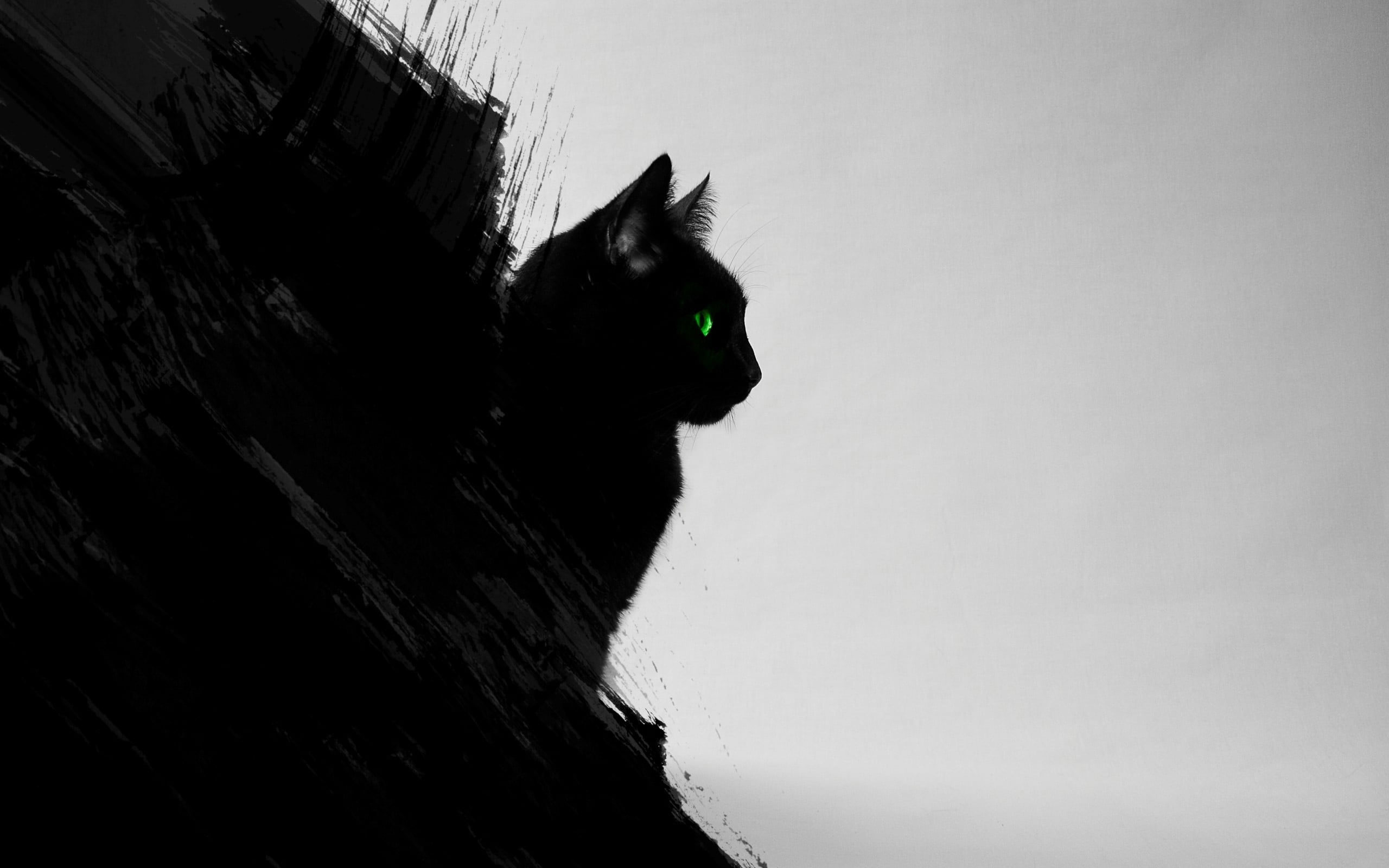 Wallpaper Cat Silhouette, Black Cats, Animals, Green Eyes