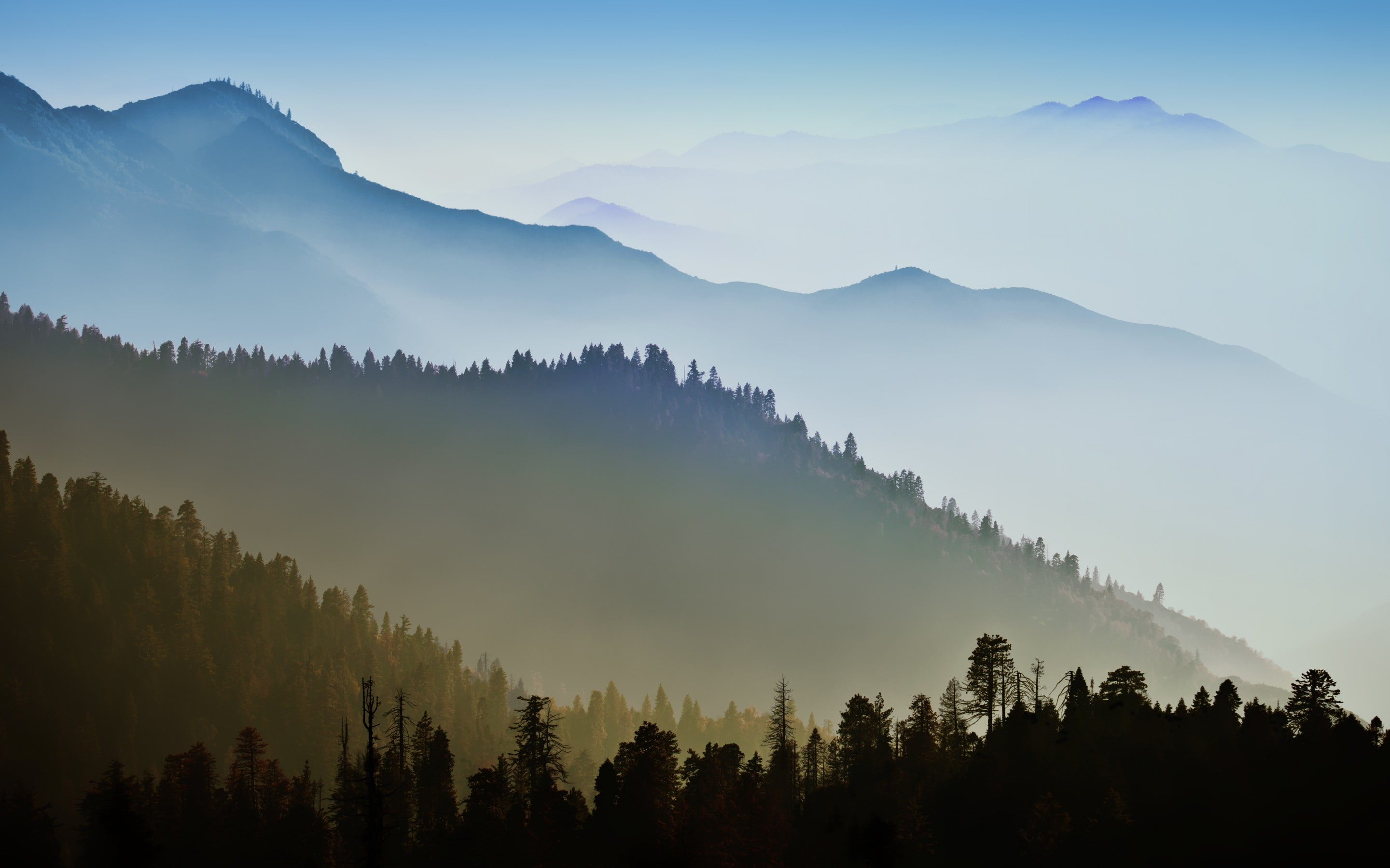 Wallpaper Mac Os X, Mountains, Mist, Forest, Forest, Nature