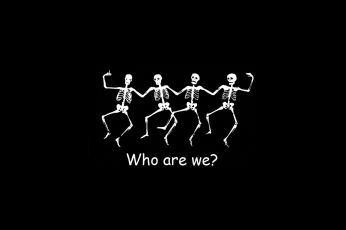 Wallpaper Funny Skeleton, Who Are we?