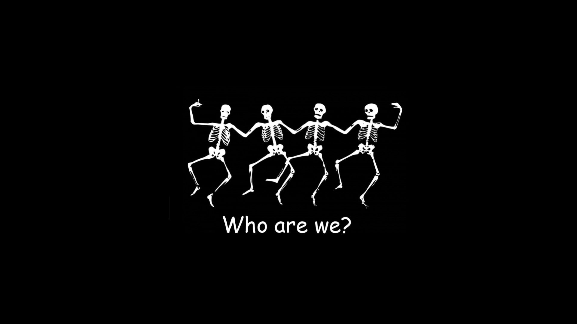 Wallpaper Funny Skeleton, Who Are We? - Wallpaperforu