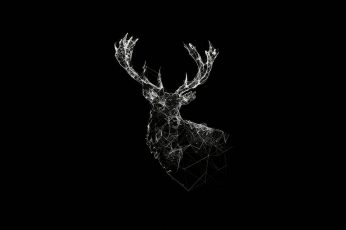 Aesthetic Black Wallpaper, Art, Deer