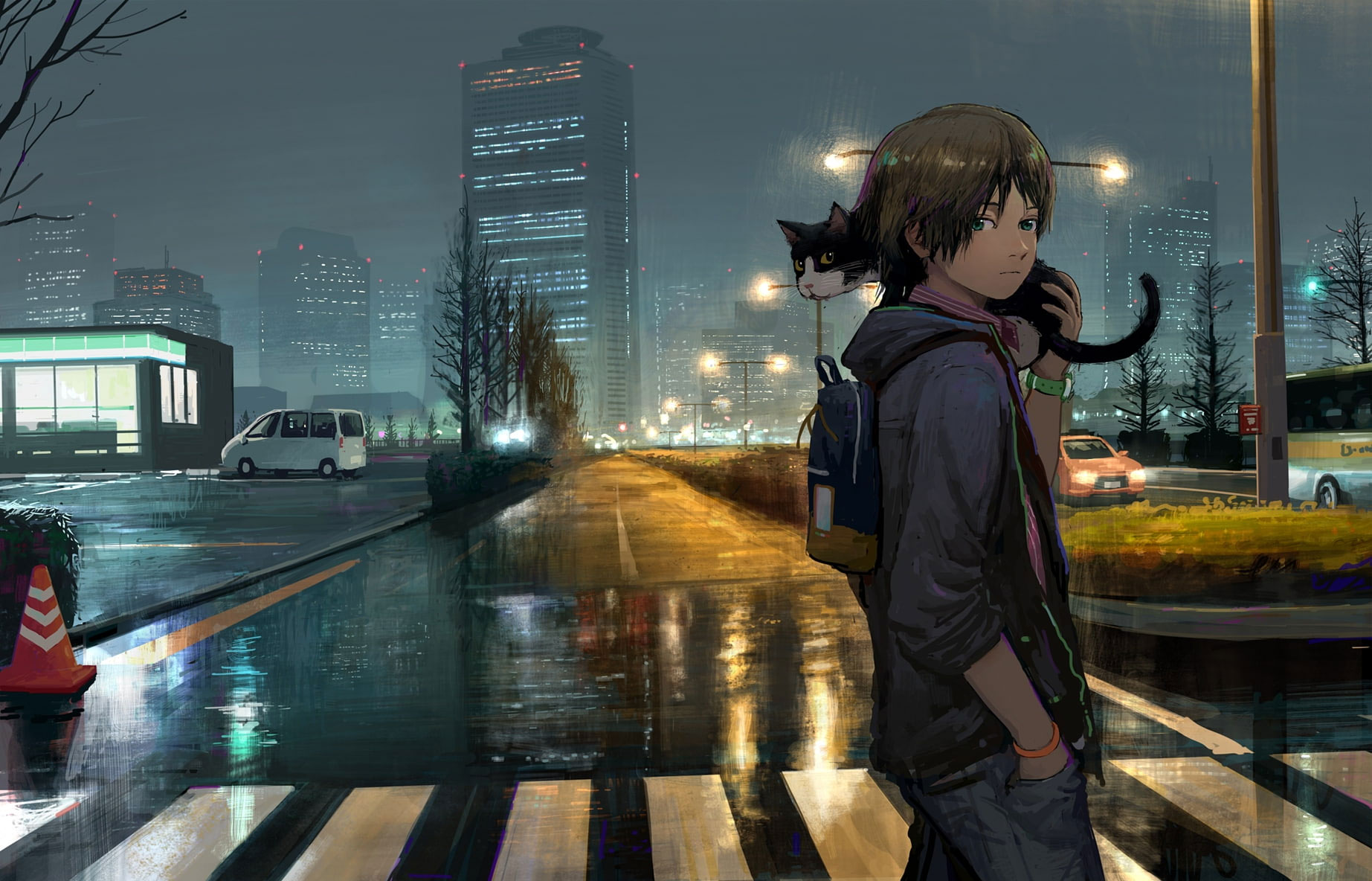 Wallpaper Anime Boy, Cat, Street, Buildings, Night