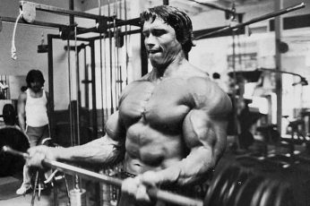 Wallpaper Arnold Schwarzenegger, Bodybuilding, Bodybuilder