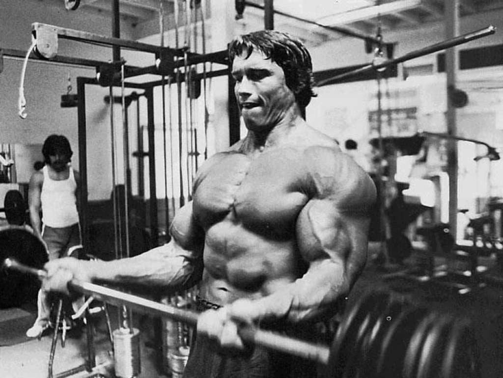 Wallpaper Arnold Schwarzenegger, Bodybuilding, Bodybuilder