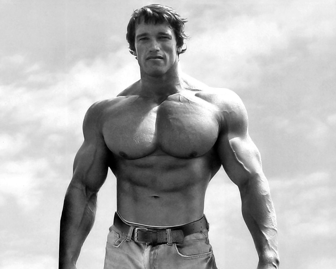 Wallpaper Bodybuilder, Gyms, Muscular, Arnold Schwarzenegger, Arnold Schwarzenegger, Sports