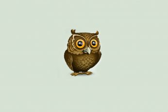 Wallpaper Brown Owl Illustration, Minimalism, Animals