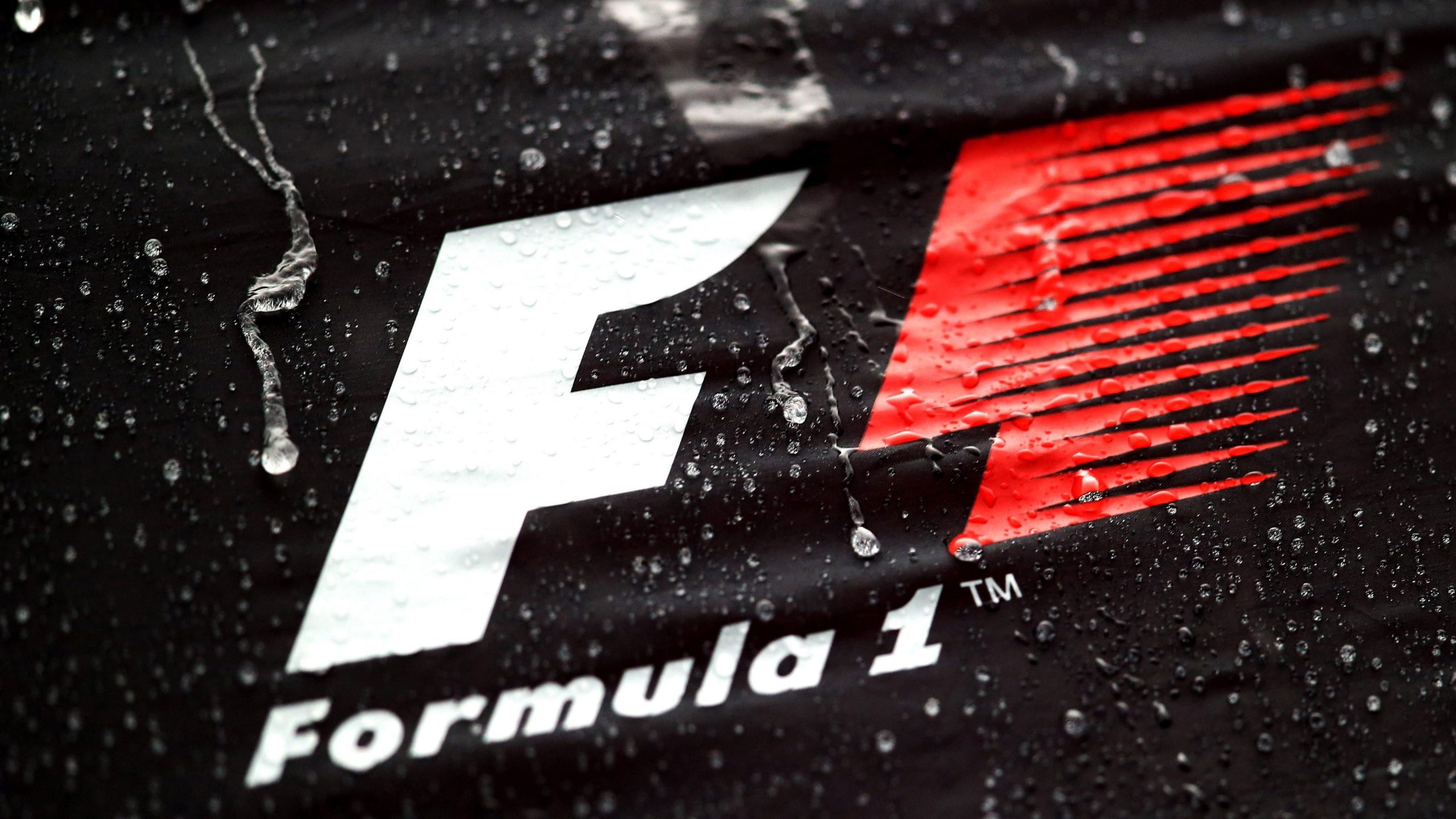 Wallpaper F1 Logo, Formula 1, Sport