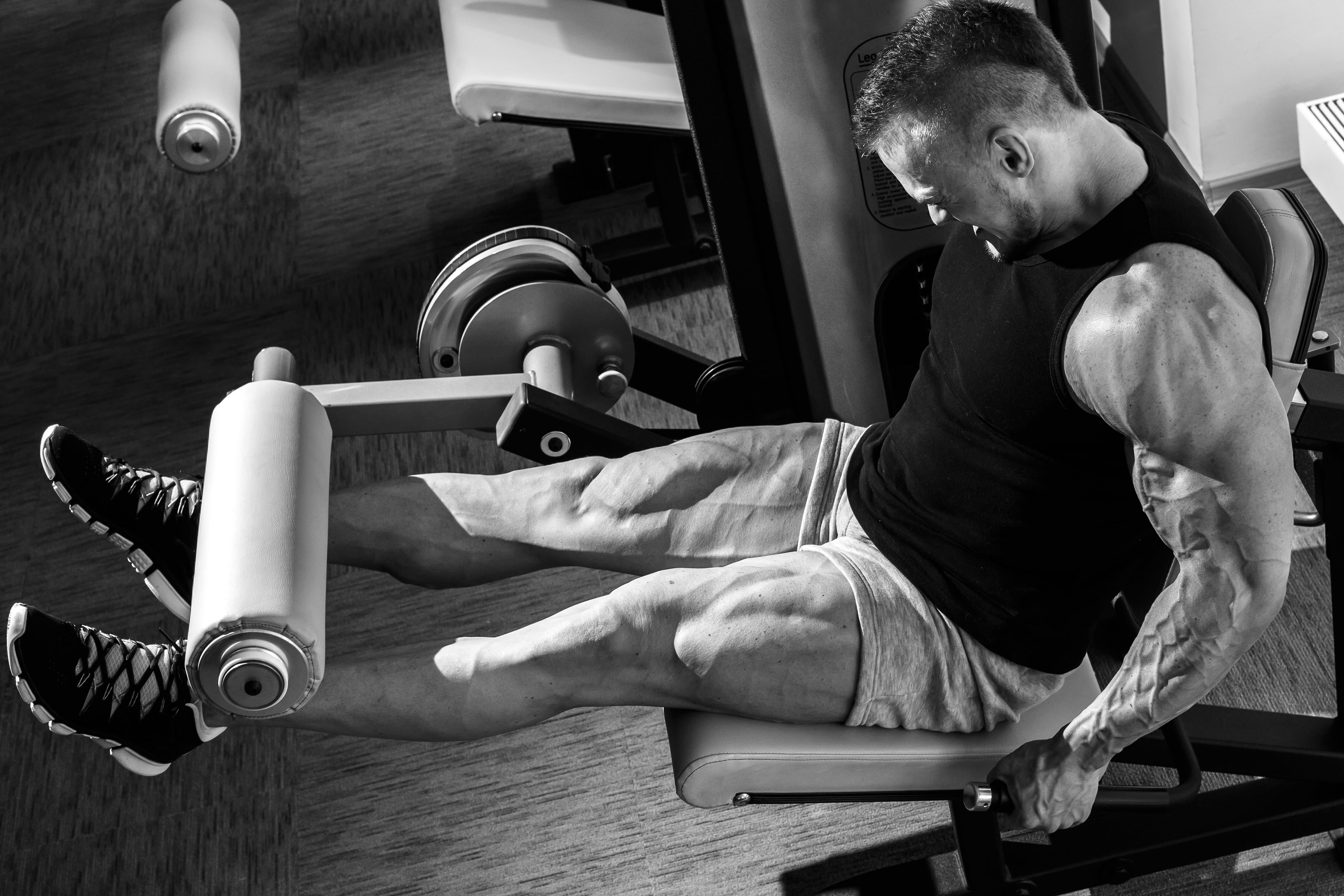 Wallpaper Leg Curler Bench Exerciser, Muscles, Workout, Gym, Bodybuilding, Sports