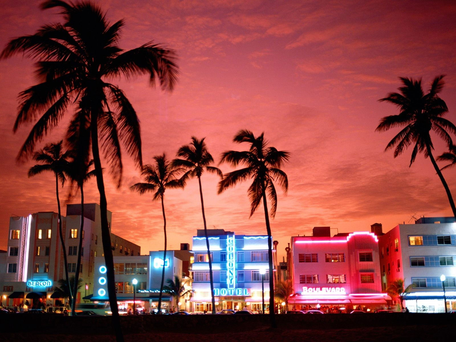 Wallpaper Miami, Street, Neon Lights, Palm Trees, Urban - Wallpaperforu