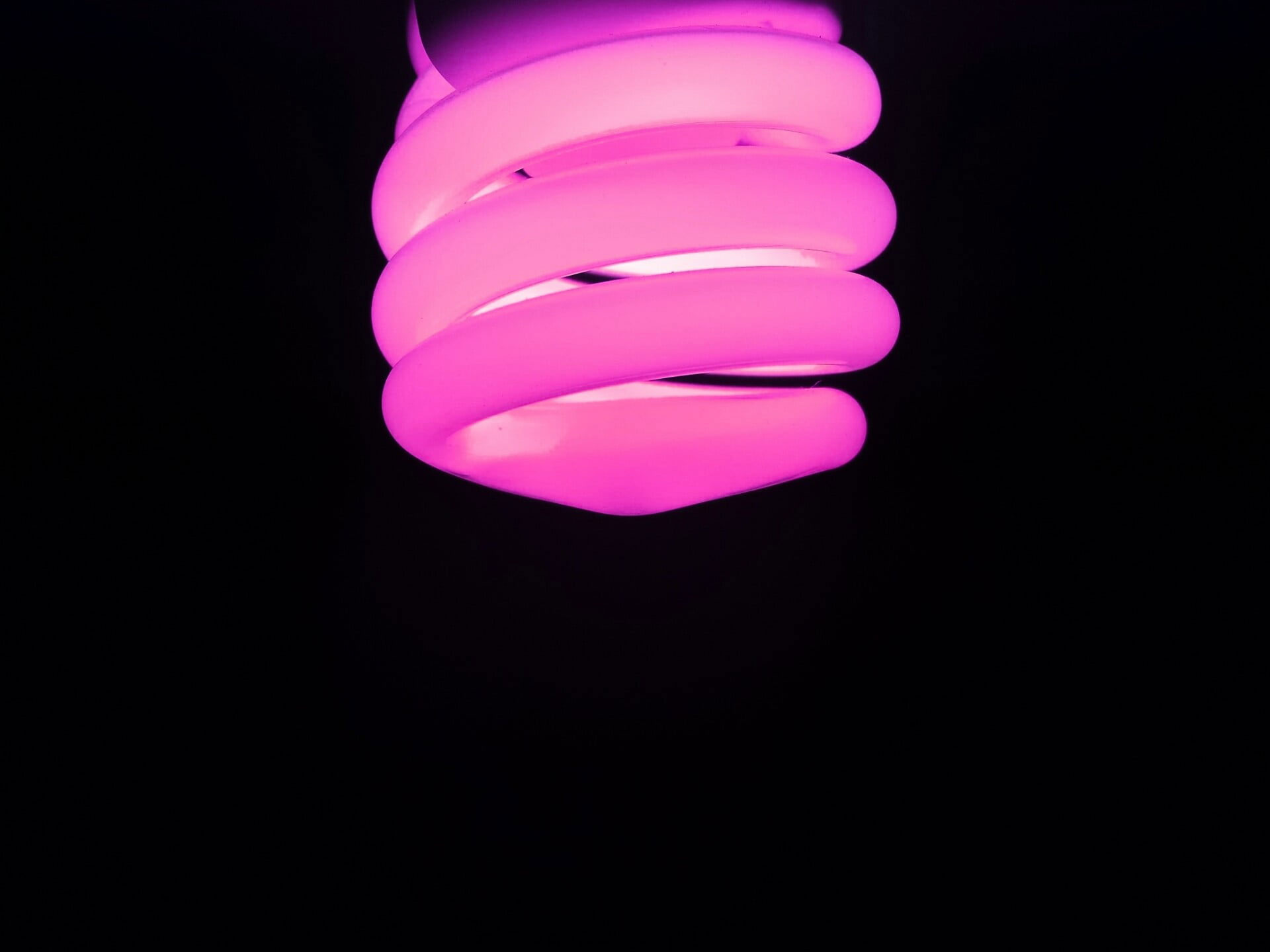 Wallpaper Purple Led Bulb, Neon, Pink, Simple, Black