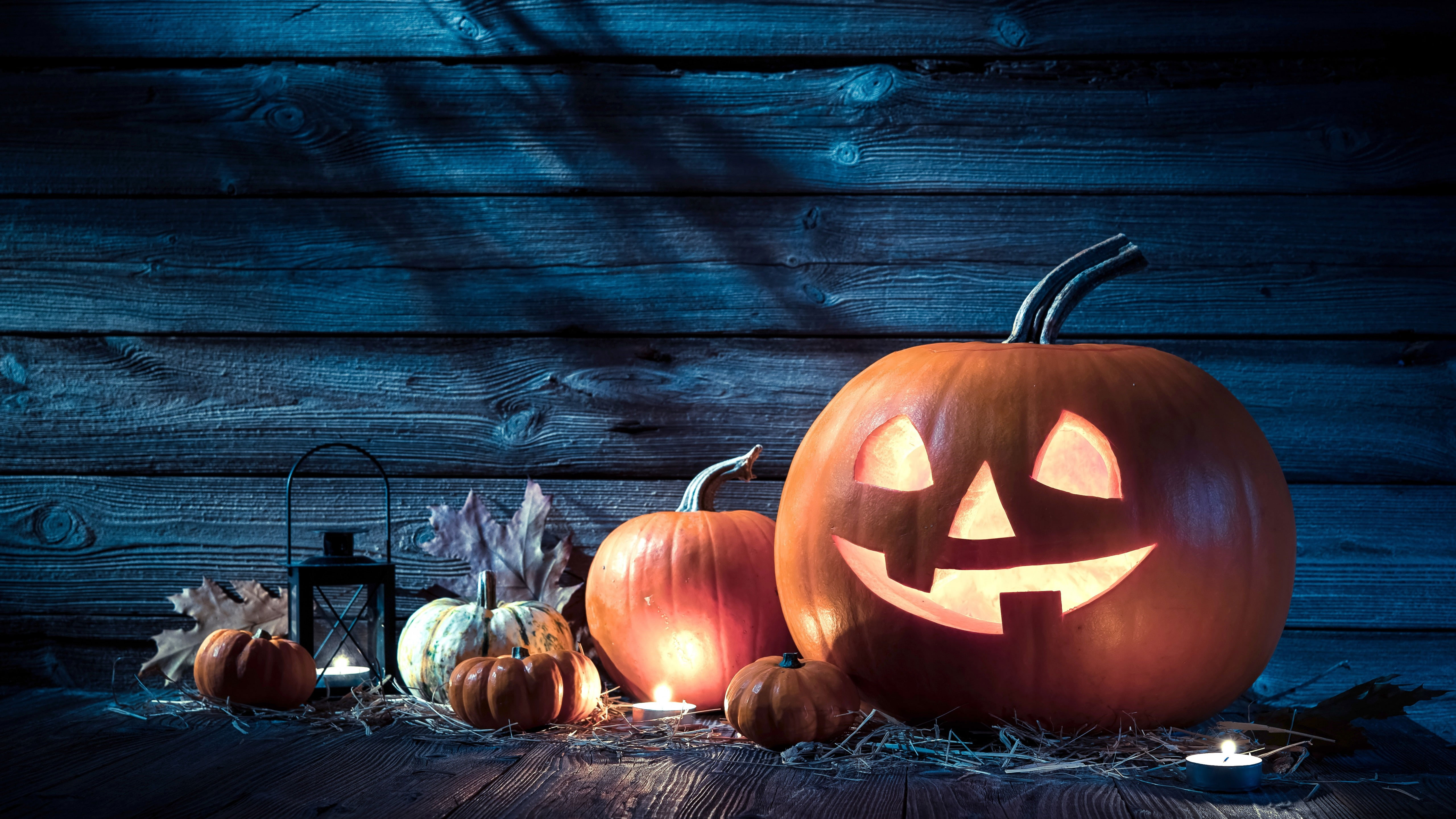 Wallpaper Halloween, Pumpkin, 5k Uhd, Candlelight, Jack O, 5k uhd, Holidays