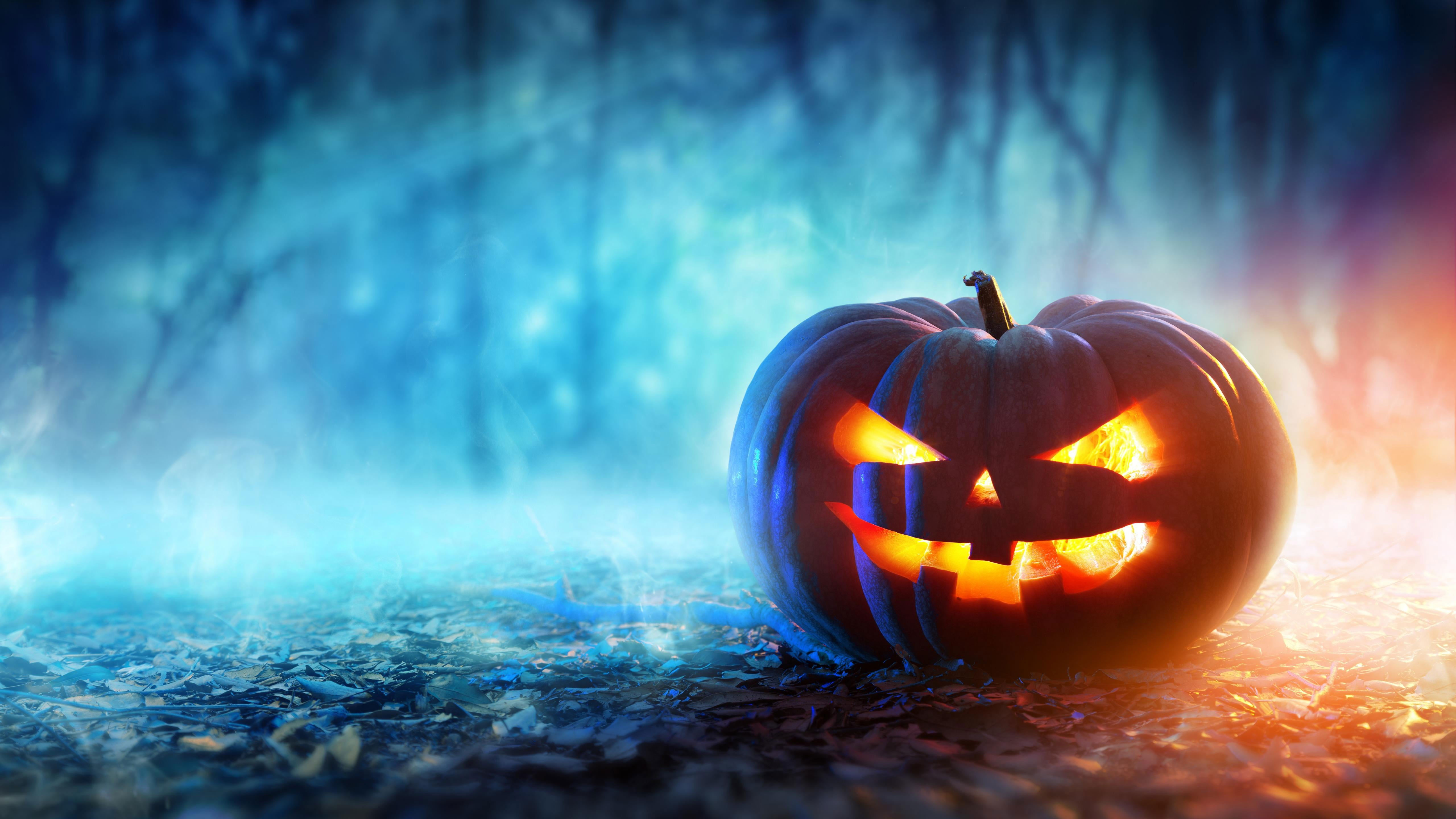Wallpaper Halloween, Pumpkin, Jack O Lantern, Celebration, celebration, Holidays