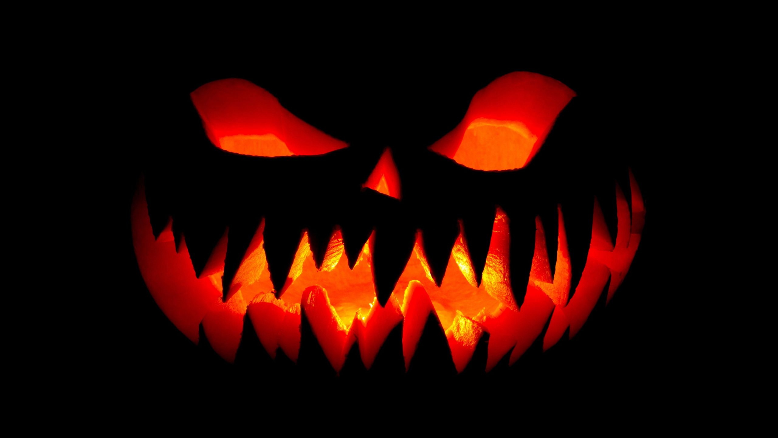 Wallpaper Pumpkin, Halloween, Jack O Lantern, Halloween