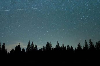 Wallpaper Trees And Stars, Ultrawide, Landscape, Nature
