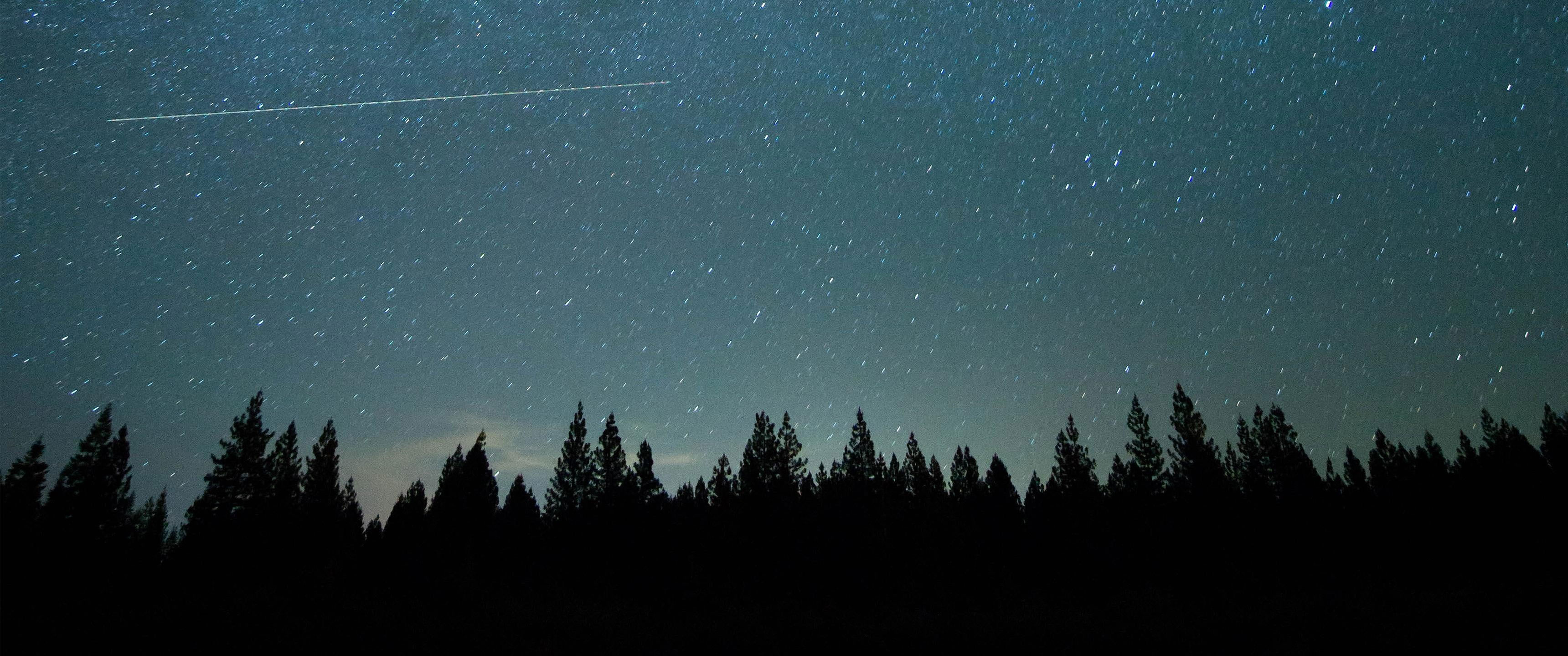 Wallpaper Trees And Stars, Ultrawide, Landscape, Nature, Landscape, Space