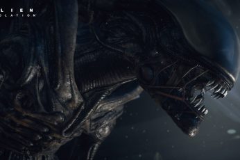 Alien Vs Predator Digital Wallpaper