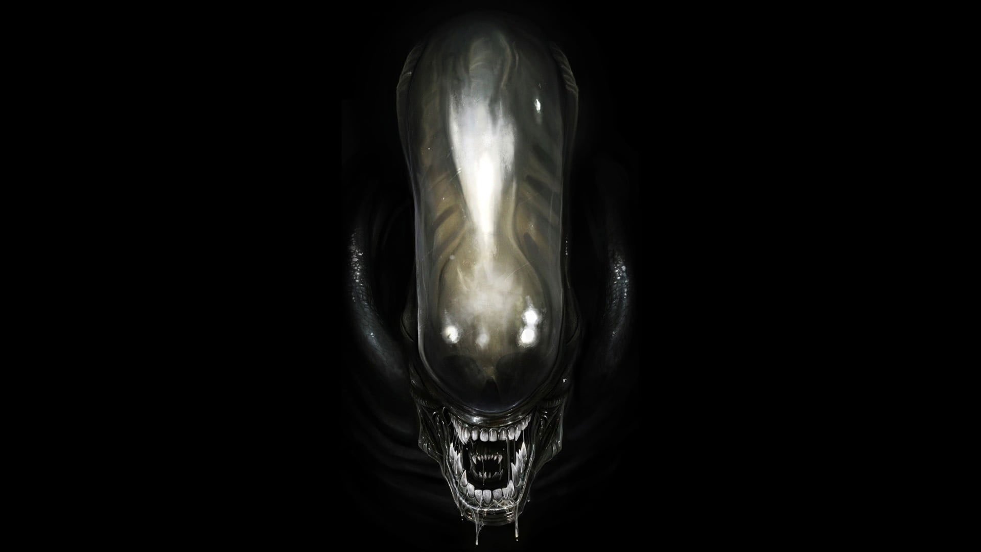 Wallpaper Black Predator, Alien Movie, Aliens