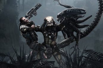 Wallpaper Predator And Alien Illustration