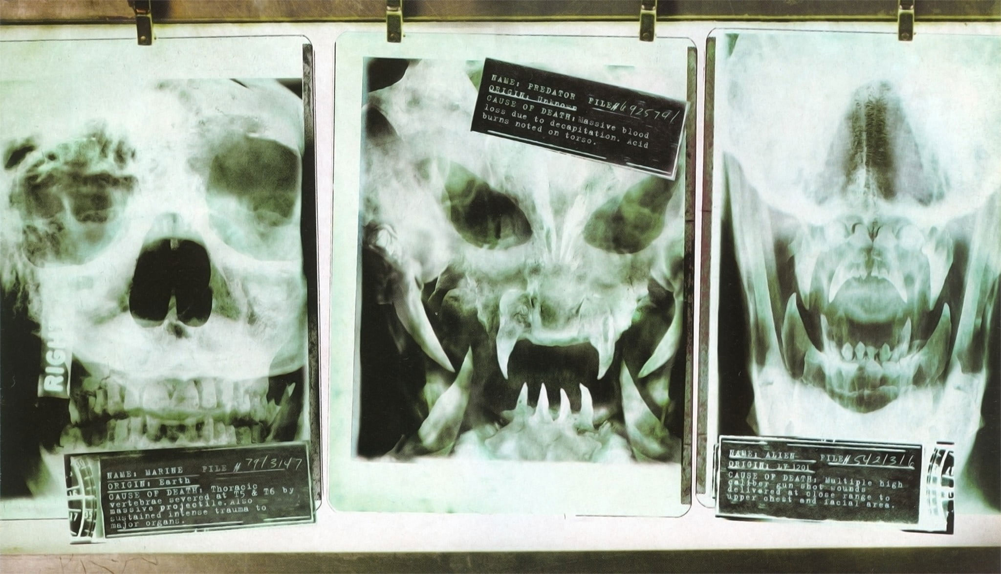 Wallpaper X Ray Result, Alien Vs Predator