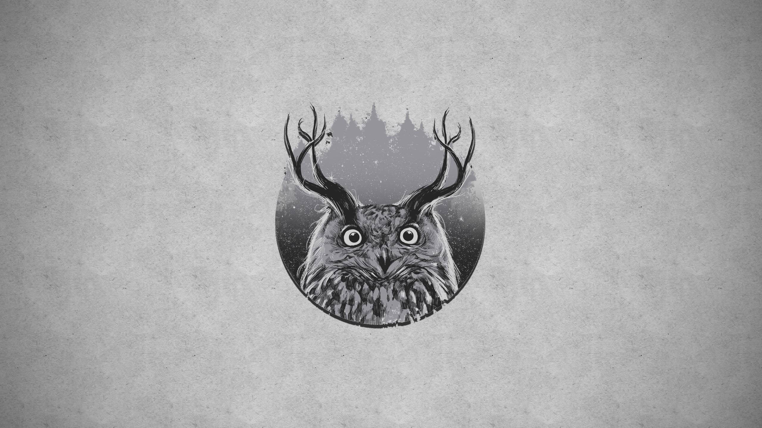 Wallpaper Black And Gray Owl Illustration, Horns