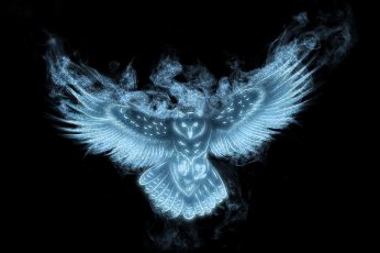 Blue Owl Digital Wallpaper, Look, Wing