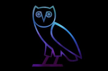 Wallpaper Ovo Owl, Ovo Logo, Aero, Black