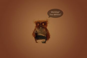 Wallpaper Owl, Morning You Serous?, Humor