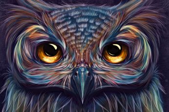 Wallpaper Owl, Colorful, Artist, Artwork