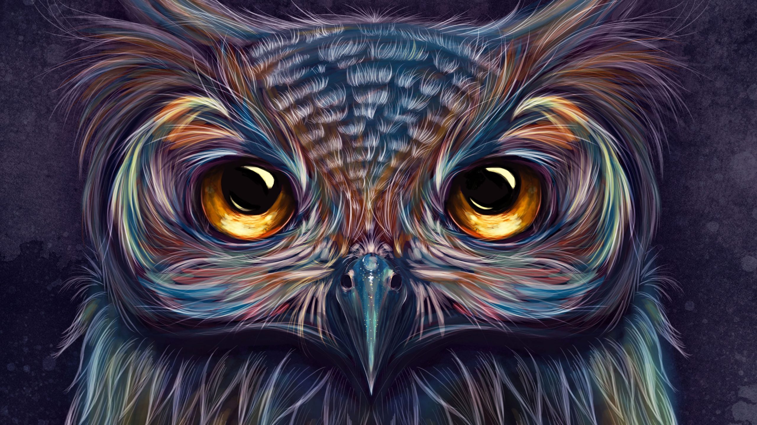 Wallpaper Owl, Colorful, Artist, Artwork - Wallpaperforu