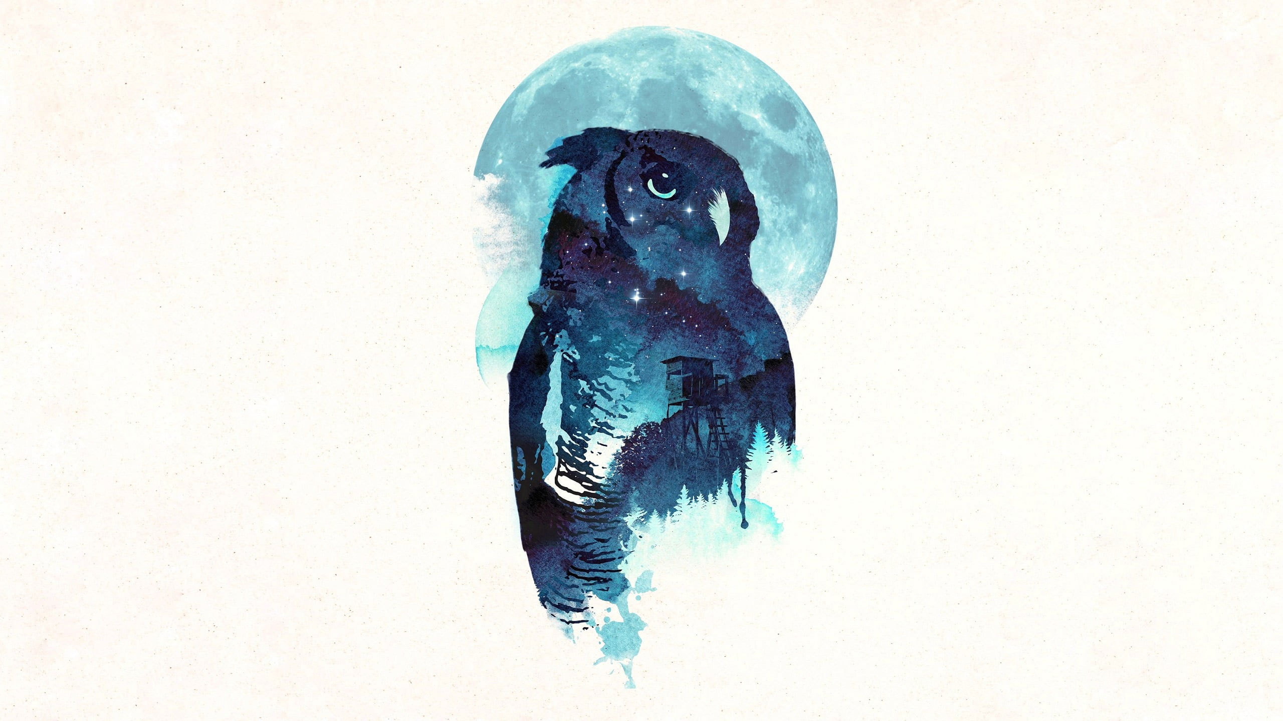 Wallpaper Owl, Midnight, Robert Farkas