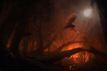 Owl Wallpaper, Fire, Forest, Fantasy