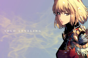 Wallpaper Anime, Solo Leveling, Cha Hae In