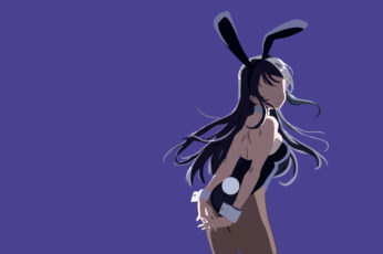 Wallpaper Anime, Rascal Does Not Dream Of Bunny Girl