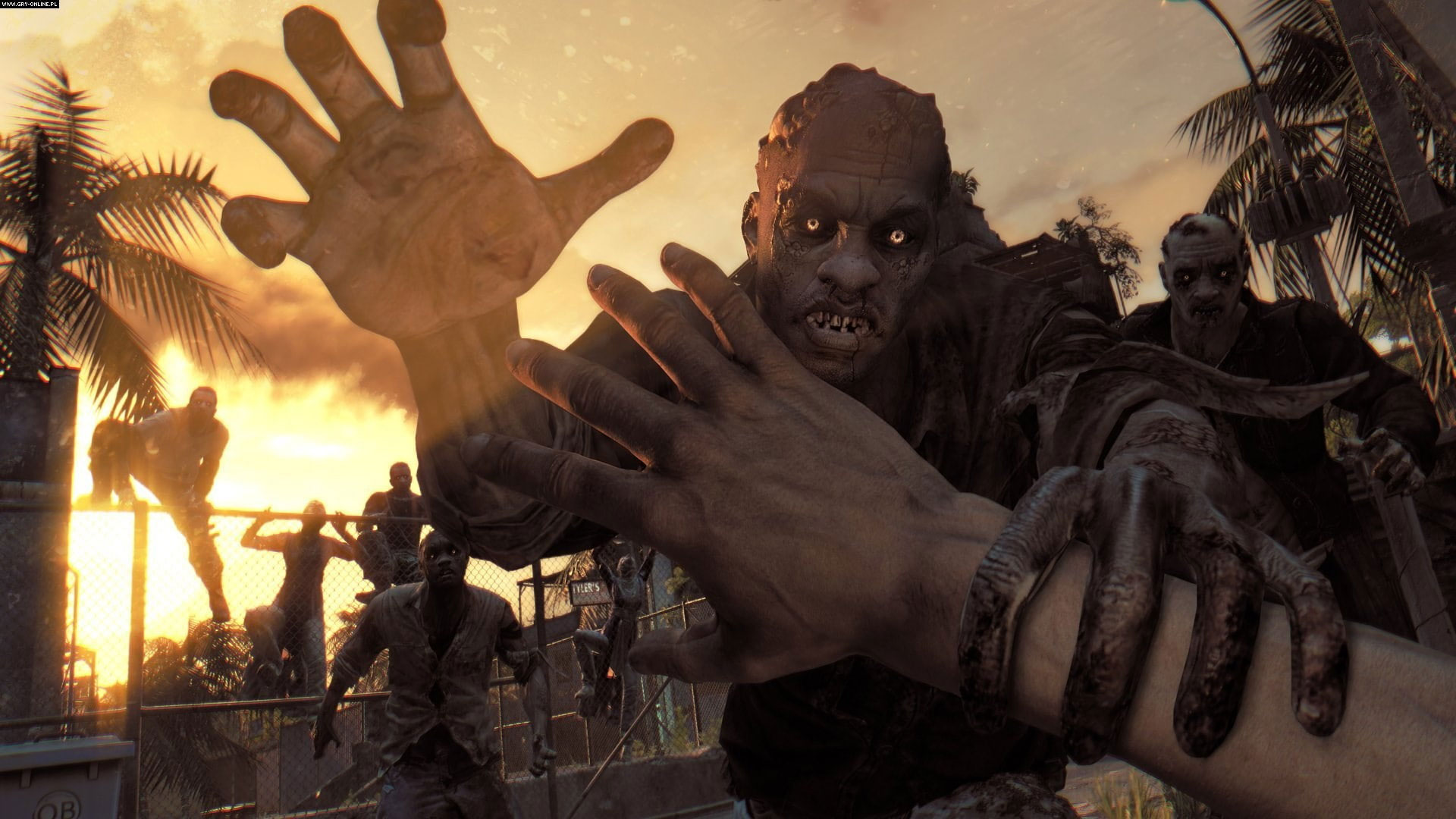 Wallpaper Dying Light 2 stay human 1080p Free Download