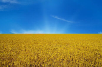 Ukraine Wallpaper Brown Field Under Blue Sky, The Sky