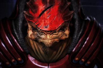 Samurai Frog Digital Wallpaper, Mass Effect