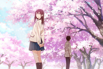 Hd Wallpaper Anime, I Want To Eat Your Pancreas
