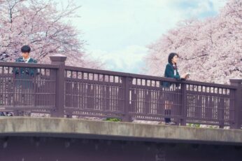 I Want To Eat Your Pancreas Wallpaper 4k Pc