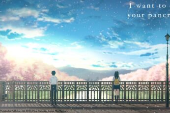 I Want To Eat Your Pancreas Wallpaper For Ipad