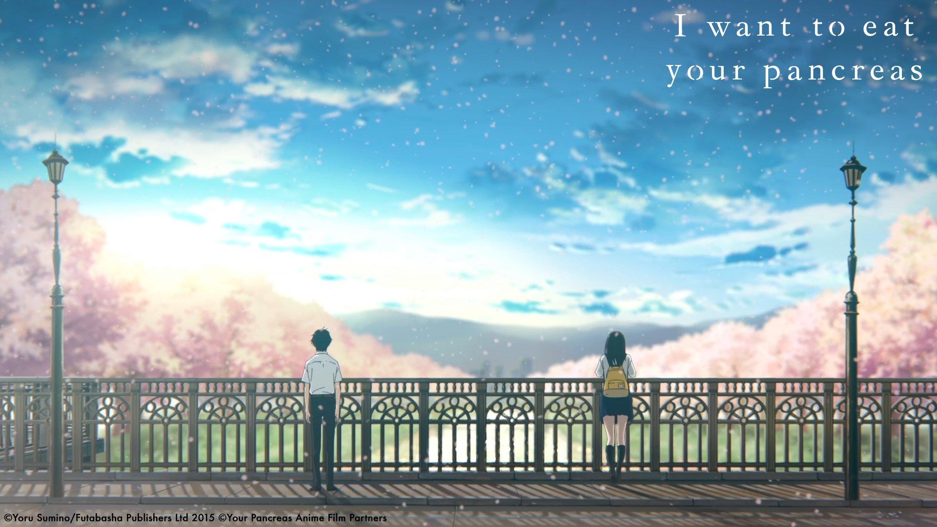 I Want To Eat Your Pancreas Wallpaper For Ipad